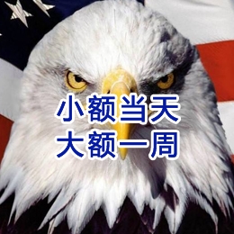 泸定要账公司